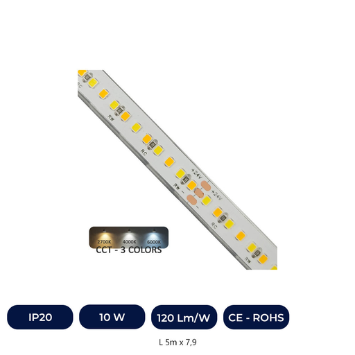 [IC66719-CCT-10WSP240D] Ruban LED 24V | 240xLED/M | 5m | SMD2025 | CCT | 10W/M | IP20